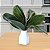 Folha de Orquídea Phalaenopsis com Arame X5 Verde 27 cm - Imagem 2