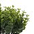 Planta Permanente Pick Grass Plástico c/6un Verde Outono 22cm - Imagem 2