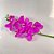 HASTE DE ORQUIDEA PHALAENOPOLIS FUCSIA 75CM REAL TOQUE - Imagem 4