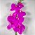 HASTE DE ORQUIDEA PHALAENOPOLIS FUCSIA 75CM REAL TOQUE - Imagem 3