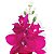 Haste Orquídea Phalaenopolis X 12 Fúcsia 90cm Toque Real - Imagem 3