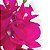 Haste Orquídea Phalaenopolis X 12 Fúcsia 90cm Toque Real - Imagem 5