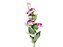 Haste Lisianthus X6 84cm Fucsia/Creme - Imagem 1