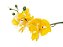 Haste Orquidea X7 70cm 1704 Amarela - Imagem 2