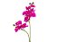 Haste Orquidea Dupla X9 55cm 1703 Fucsia - Imagem 2