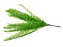 Folhagem Samambaia X7 Verde 29cm - Imagem 1