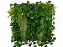 Parede Verde de Treliça com Hera e Plantas 1X1M - Imagem 1