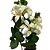 HASTE DE LIRIO ASIATICO/ PATA DE VACA BRANCO 10F 90CM - Imagem 3