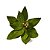 FLOR NATALINA POINSETIA VELUDO VERDE 20CM - Imagem 3