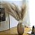 H PAMPAS NUDE 88CM - Imagem 1