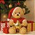 URSO NATALINO NOEL C/ ESTRELA 25CM - Imagem 2