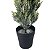 Árvore Natalina Verde com Vaso 94 cm - Imagem 3