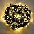 CORDÃO DE LED BIVOLT FUNCOES FIO VERDE 50MTS WARM - Imagem 2