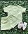 Conjunto lacoste - Imagem 1