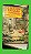 O JARDIM EM CASA - Imagem 1