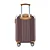 Mala Bordo Viagem Rígida Rodas 360º Padrão Anac 10kg Cor Bronze Santino - Imagem 4