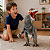 T-Rex Invencible Dinopark Hunters 74 cm - Bee Toys - Imagem 4