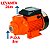 Bomba D´água Periférica 1/2 Hp Bp500 Intech Machine - Imagem 1
