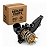 Válvula Termostática VW Audi Porsche - 3.0 V6 TFSI 2016/... - 06E121111AT, 06E121111AN, 06E121111AR, 06E121111AS - Imagem 1