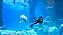Endless Ocean Luminous - Imagem 2