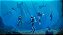 Endless Ocean Luminous - Imagem 3