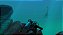 Endless Ocean Luminous - Imagem 5