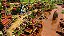 Age of Empires 3: Definitive Edition - Imagem 3