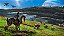 Avatar Frontiers of Pandora Standard Edition - Imagem 2