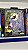 CASTLE OF ILLUSION MEGA DRIVE - Imagem 3