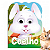 Kit com 8 Livros Infantis Olha Quem Sou! História dos Animais + 3 cartelas de adesivos - Imagem 4