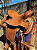 Sela Team Roping Profissional Prova de Laço + Manta QM - Imagem 2