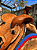 Sela Team Roping Profissional Prova de Laço + Manta QM - Imagem 6
