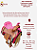 Sela 3 Tambores Profissional Cowgirl Champion + Manta QM Imports - Imagem 9