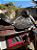 Sela Prova de Laço Cumprido Robust + Manta QM Imports - Imagem 9