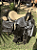 Sela Quarto de Milha Cavalgada Confort Completa + Manta QM Imports - Imagem 3