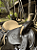 Sela Quarto de Milha Cavalgada Confort Completa + Manta QM Imports - Imagem 4