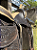 Sela Quarto de Milha Cavalgada Confort Completa + Manta QM Imports - Imagem 7