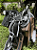 Sela Americana Quarto de Milha Confort Premium + Manta QM Imports - Imagem 4