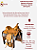 Sela Team Roping Profissional Couro Liso + Manta QM Imports - Imagem 7