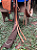 Selaria Americana 3 Tambores Profissional N.S Aparecida + Manta QM Imports - Imagem 5