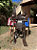 Sela Ranch Sorting Classic Profissional Completa + Manta QM Imports - Imagem 10