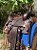 Sela Ranch Sorting Classic Profissional Completa + Manta QM Imports - Imagem 7