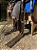 Sela Ranch Sorting Classic Profissional Completa + Manta QM Imports - Imagem 6
