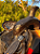 Sela Para 3 Tambores Profissional All Carved Preta + Manta QM Imports - Imagem 4