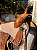 Sela Ranch Sorting Stockman Pro + Manta QM Imports - Imagem 2