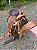 Sela Ranch Sorting Heritage Edition + Manta QM Imports - Imagem 4