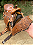 Sela Ranch Sorting Crossfire + Manta QM Imports - Imagem 4