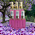 Perfume capilar - Imagem 1