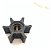 Rotor Marítimo(ref. Jabsco 673-0001)Volvo, Jabsco, Geradores - Imagem 2