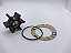 Rotor Reposição Johnson 09-808b-1 Jabsco 13554-00 Made Eua - Imagem 2